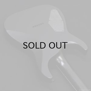 画像9: GrassRoots　G-HORIZON-FX [Black Satin]