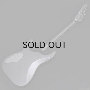 画像10: GrassRoots　G-HORIZON-FX [Black Satin]