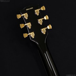 画像6: Edwards　E-LP-CTM BK [Black] [デジマート連動セール特価]