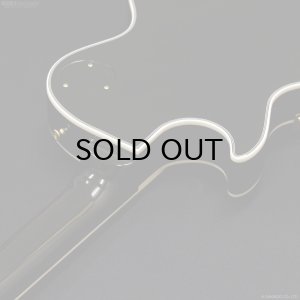 画像7: Edwards　E-LP-CTM “All Mahogany” BK [Black] [当店オリジナルモデル]