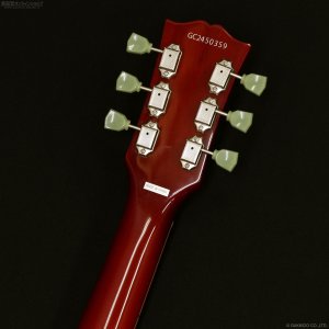 画像6: Grassroots　G-LP-STD [Cherry Sunburst]