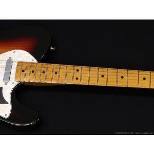画像4: Fender　Vintera II '60s Telecaster Thinline
