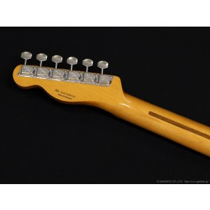 画像6: Fender　Vintera II '60s Telecaster Thinline