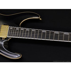 画像4: Edwards　E-HORIZON-CTM 50TH [Ash Black Burst C]