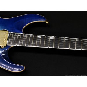 画像5: Edwards　E-HORIZON-CTM 50TH [Black Aqua Burst C]