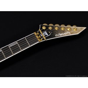 画像5: Edwards　E-HORIZON-CTM 50TH [Ash Black Burst C]