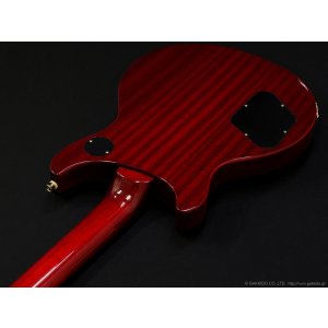 画像10: Epiphone　Limited Edition 2011 Tak Matsumoto DC Standard [Plus Top Cherry Red] [中古品]