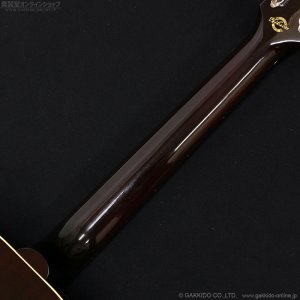 画像9: Gibson　J-45 Standard Red Spruce [Triburst]