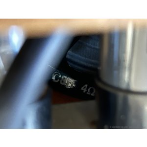 画像13: Silvertone　1956 Model 1331 Tweed Combo ギターアンプ コンボ [ヴィンテージ品]