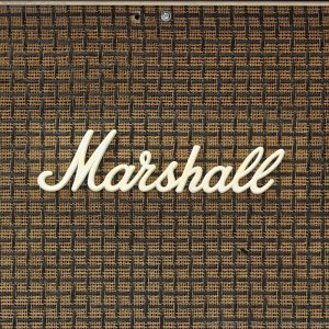 画像11: Marshall　1970s 2065 1x15” スピーカーキャビネット [ヴィンテージ品]