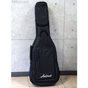 画像11: Aria Pro II　PE-JAIL 2025 ジェイル大橋 シグネチャーモデル