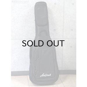 画像11: Aria Pro II　PE-JAIL 2025 ジェイル大橋 シグネチャーモデル