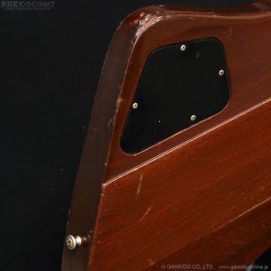 画像22: Gibson　1976 Firebird Bicentennial Edition 1976 [ヴィンテージ品]