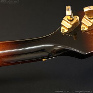 画像14: Gibson　1977 Firebird Bicentennial Edition 1976 [ヴィンテージ品]