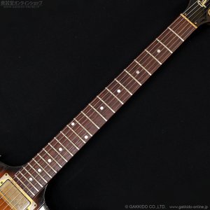 画像14: Gibson　1976 Firebird Bicentennial Edition 1976 [ヴィンテージ品]