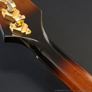 画像15: Gibson　1977 Firebird Bicentennial Edition 1976 [ヴィンテージ品]