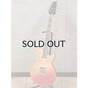 画像7: Aria Pro II　PE-JAIL 2025 ジェイル大橋 シグネチャーモデル