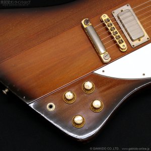 画像7: Gibson　1976 Firebird Bicentennial Edition 1976 [ヴィンテージ品]
