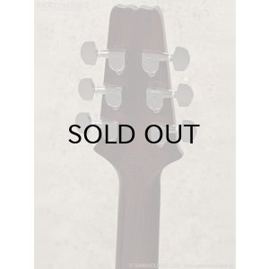 画像10: Aria Pro II　PE-JAIL 2025 ジェイル大橋 シグネチャーモデル