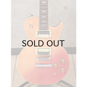 画像5: Aria Pro II　PE-JAIL 2025 ジェイル大橋 シグネチャーモデル