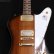画像8: Gibson　1976 Firebird Bicentennial Edition 1976 [ヴィンテージ品] (8)