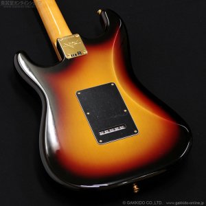 画像15: Fender Custom Shop　Stevie Ray Vaughan Signature Stratocaster NOS