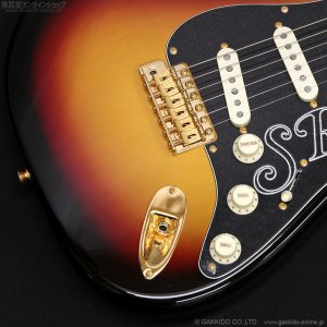 画像5: Fender Custom Shop　Stevie Ray Vaughan Signature Stratocaster NOS