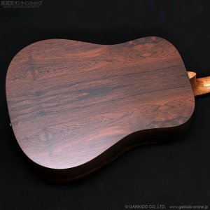 画像12: Martin　D-X2E Billy Strings