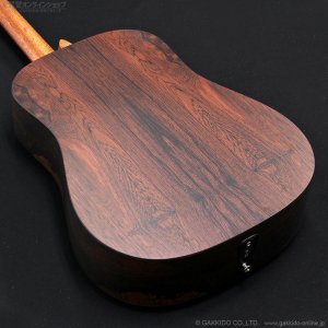 画像11: Martin　D-X2E Billy Strings