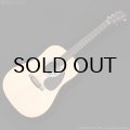 Martin　D-X2E Billy Strings