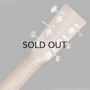 画像10: Martin　D-X2E Billy Strings