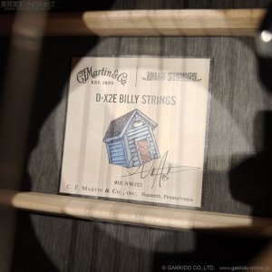 画像15: Martin　D-X2E Billy Strings
