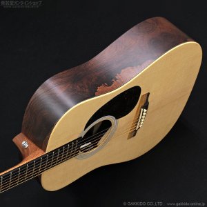 画像5: Martin　D-X2E Billy Strings