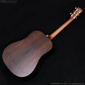 画像14: Martin　D-X2E Billy Strings