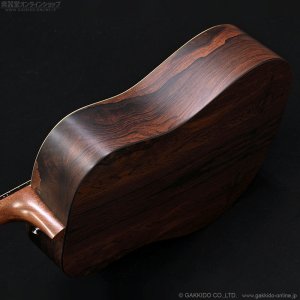 画像6: Martin　D-X2E Billy Strings