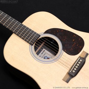 画像7: Martin　D-X2E Billy Strings