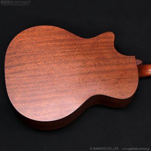 画像18: Martin　2018 GPCPA4 [中古品]