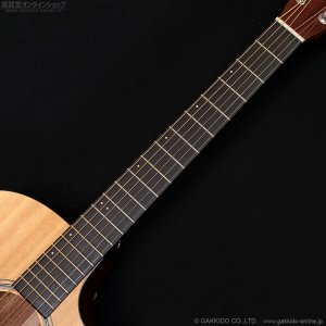 画像12: Martin　2018 GPCPA4 [中古品]