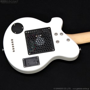 画像9: Pignose　PGG-JAIL RS