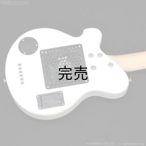 画像9: Pignose　PGG-JAIL RS