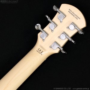 画像7: Pignose　PGG-JAIL GLITTER