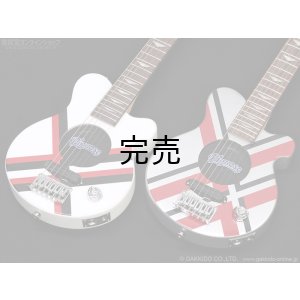 画像13: Pignose　PGG-JAIL GLITTER