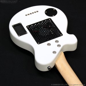 画像10: Pignose　PGG-JAIL RS