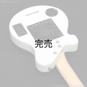 画像10: Pignose　PGG-JAIL RS