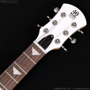 画像6: Pignose　PGG-JAIL RS