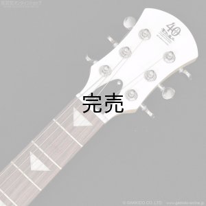 画像6: Pignose　PGG-JAIL RS