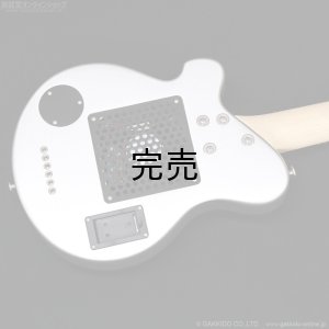 画像9: Pignose　PGG-JAIL GLITTER