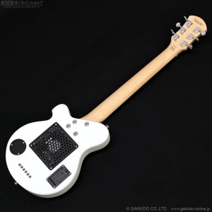 画像11: Pignose　PGG-JAIL RS