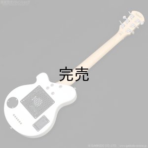 画像11: Pignose　PGG-JAIL RS