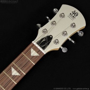 画像6: Pignose　PGG-JAIL GLITTER